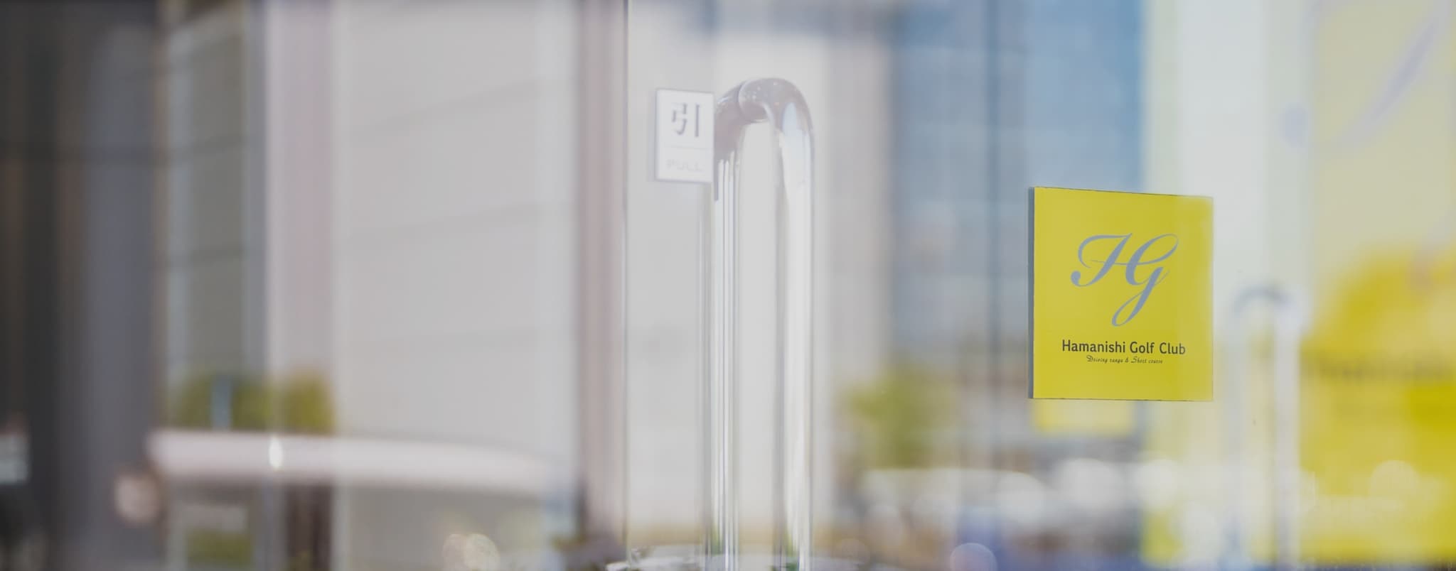 ハマニシイエロー