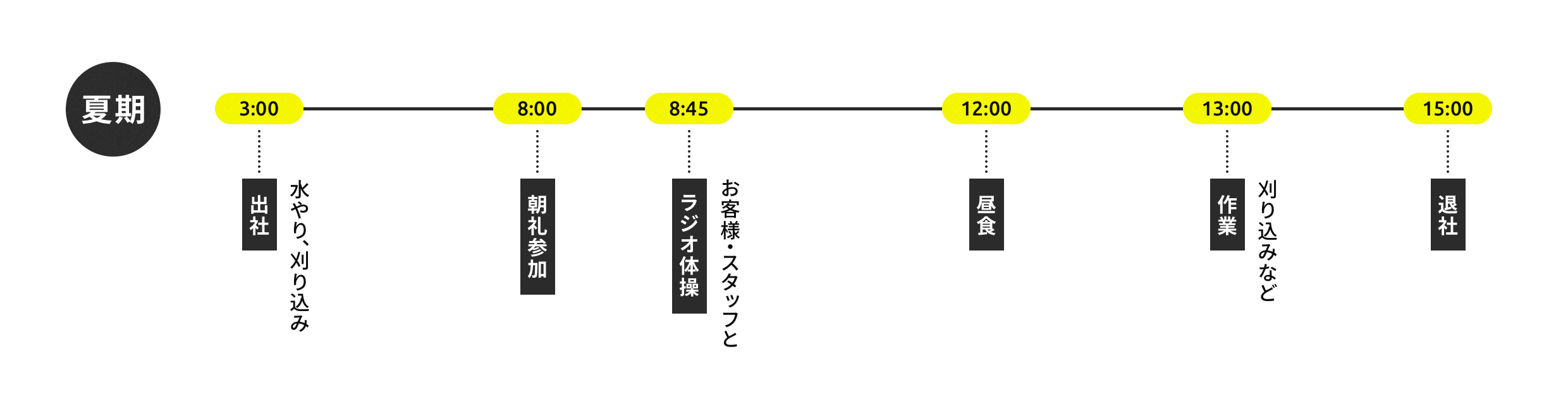 1日の仕事の流れ